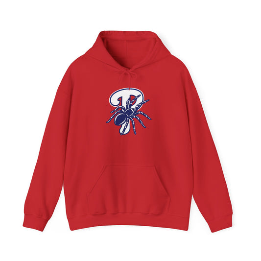 DPF Durantual Hoodie - NO NAME OR NUMBER ON BACK